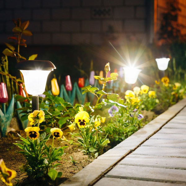 Garden Décor & Lighting