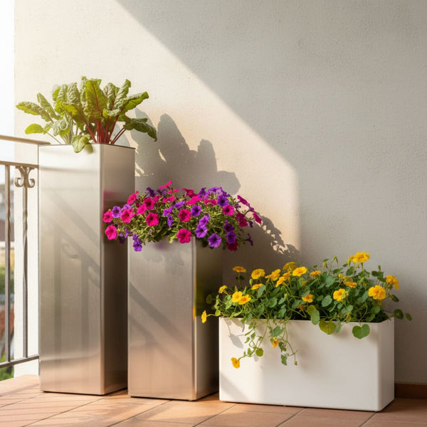 Raised Beds, Pots & Planters
