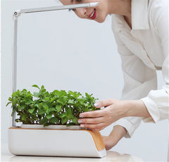 Hydroponic Indoor Herb Garden Desk Lamp LED Growing System