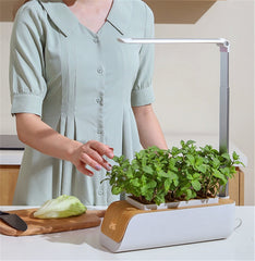 Hydroponic Indoor Herb Garden Desk Lamp LED Growing System