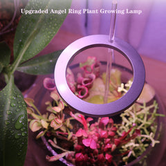 LED Grow Light Full Spectrum Angel Ring Phyto Grow Lamp USB Phytolamp For Plants 5V Lamp Indoor Flower Greenhouse Plant Seedling
