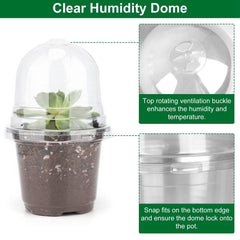30 Piece Plant Nursery Pots Seed Starting Containers With Dome