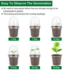 30 Piece Plant Nursery Pots Seed Starting Containers With Dome