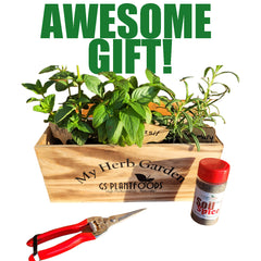 Herb Window Garden Gift Set- Complete windowsill herb garden growing kit