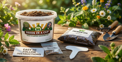 Rosemary Grow Kit | Grow Fresh Rosemary from Seed | Seeds In A Cup®