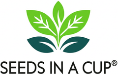 Parsley Grow Kit | Grow Fresh Parsley from Seed | Seeds In A Cup®