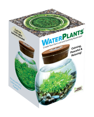 WaterPlants- Grow Lush Aquatic Plants from Seed! Thrives With Minimal Care