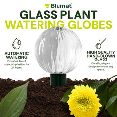 Blumat Glass Plant Self Watering Globes