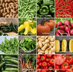 Community Garden Survival Seed Vault – 120 Seed Varieties