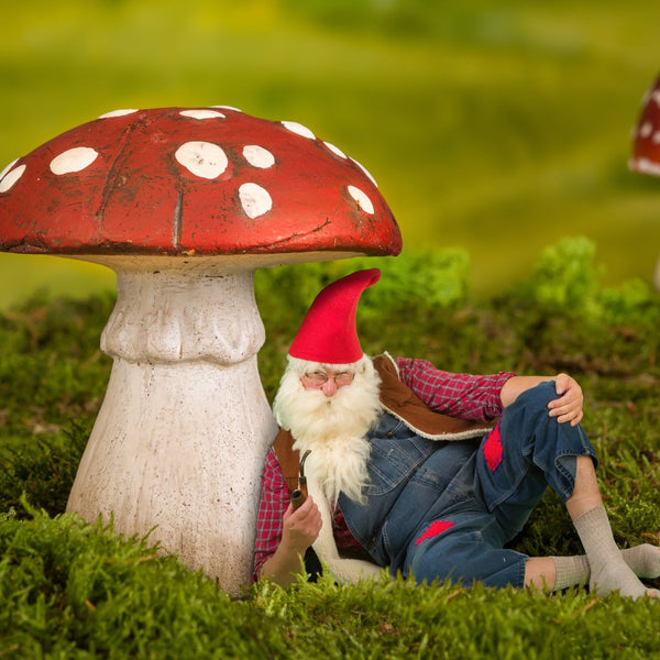 Gnome with a red hat and white beard sitting on grass next to a large mushroom.