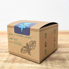 Grow a Coleus Seed Kit