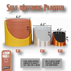 Self-Watering Indoor Outdoor Planter