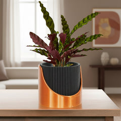 Self-Watering Indoor Outdoor Planter
