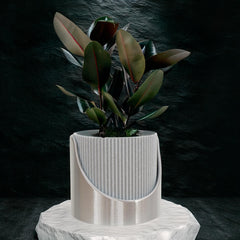 Self-Watering Indoor Outdoor Planter