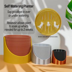 Self-Watering Indoor Outdoor Planter