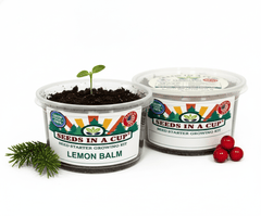 Lemon Balm Grow Kit | Grow Fresh Lemon Balm from Seed | Seeds In A Cup®