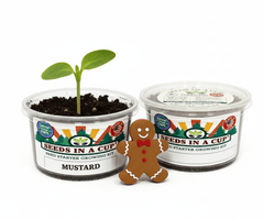 Mustard Greens Grow Kit | Grow Mustard Greens from Seed | Seeds In A Cup®