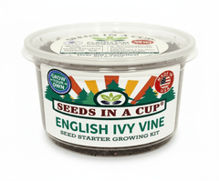 Parsley Grow Kit | Grow Fresh Parsley from Seed | Seeds In A Cup®