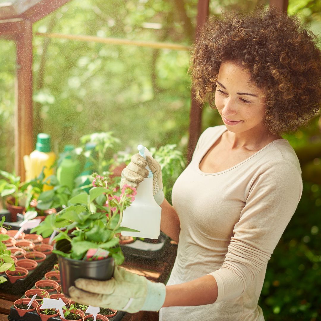 Woman in a greenhouse holding a spray bottle, surrounded by plants.